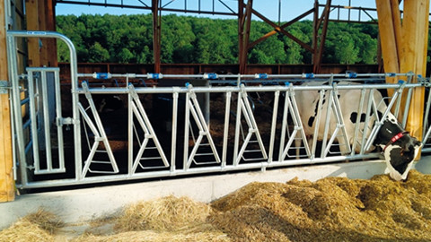 Matériel d'élevage CK Industries - partenaire matériel d'élevage chez Bosson SA