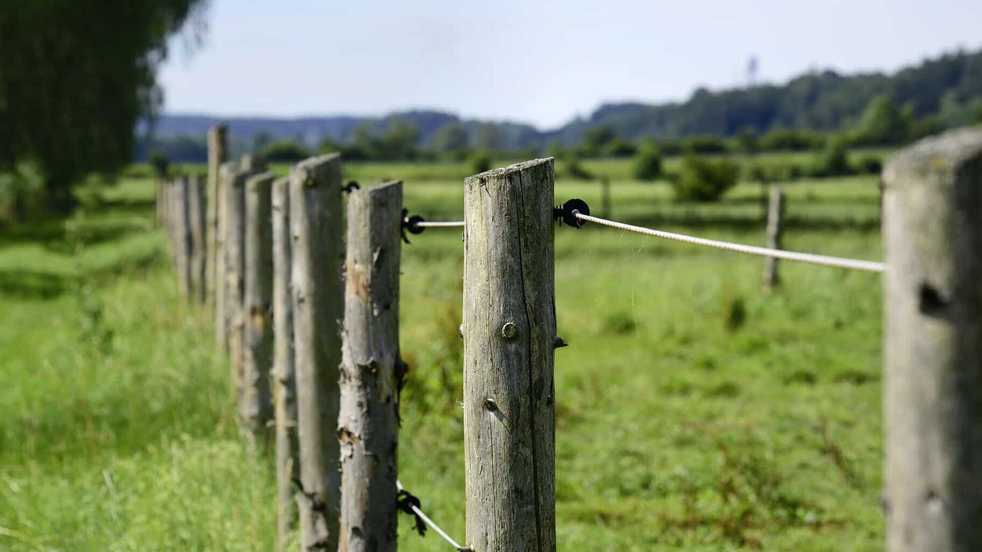 Systèmes de clôtures électrique Lacmé - partenaire matériel d'élevage chez Bosson SA